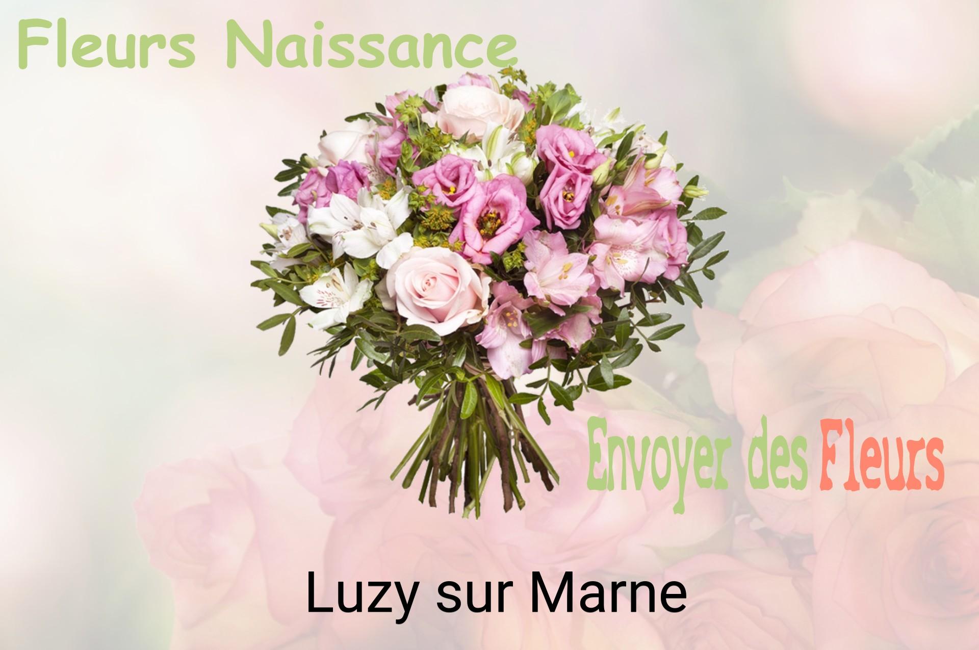 Bouquet de fleurs de naissance livré à Luzy-sur-Marne